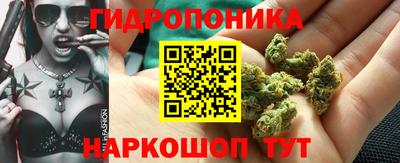 твердый Краснодар