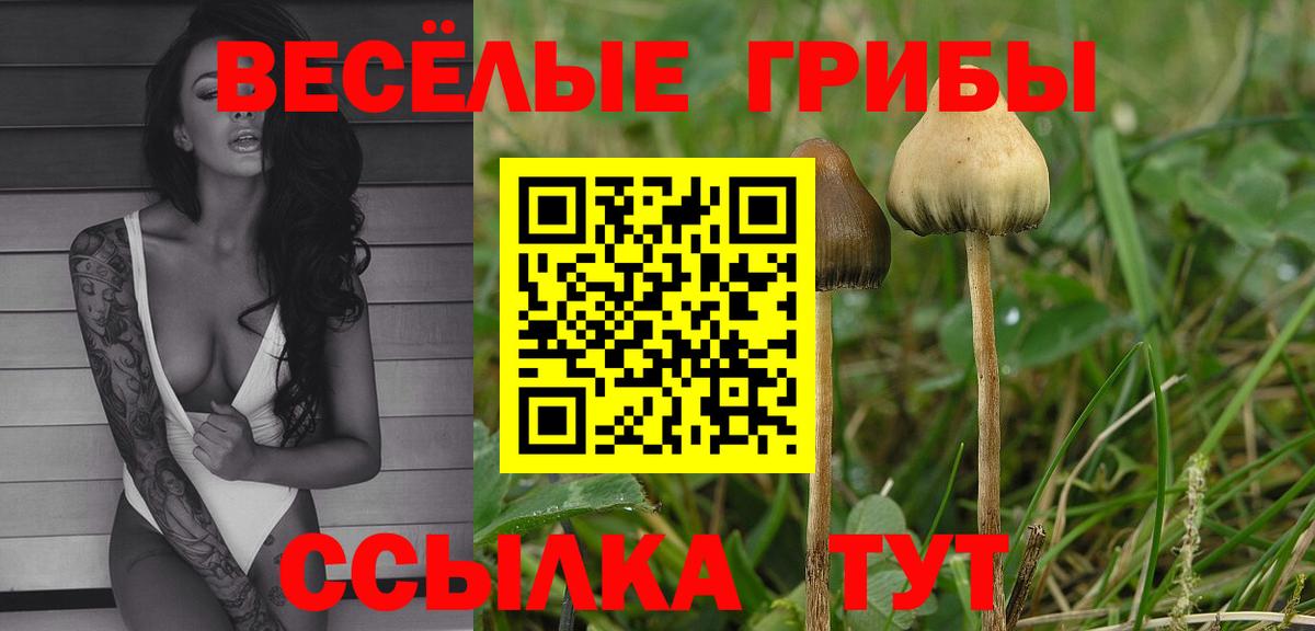 Елизово  Псилоцибиновые грибы прущие грибы  Псилоцибиновые грибы ЛСД  Вход с VPN 